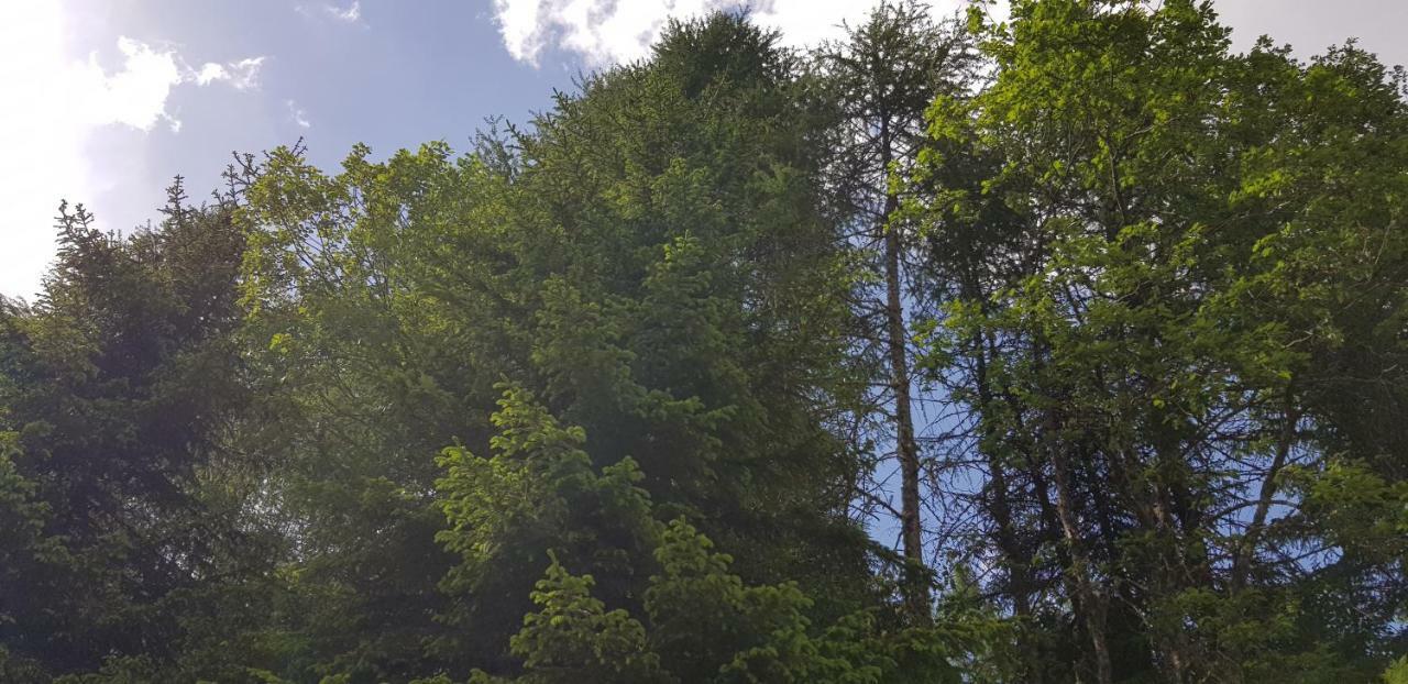 Kinder- Und Familienhotel Nockalm Innerkrems Exteriör bild